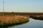 Grape fields across a canal, small thumbnail