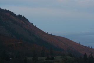 Early morning light on the edge of a hill