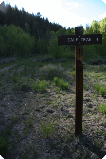Photograph of Calf (Creek) Trail sign in Idaho